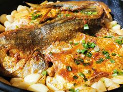 大黄鱼-保定会馆(红旗大街店)