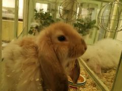 -龙猫仔乐园(惠福东路店)