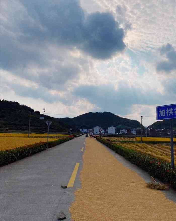 位於象山縣塗茨鎮旭拱岙村居家養老的好地方有山有水也有大海村裡有個