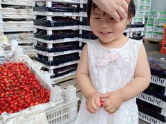 -南京众彩农副产品配送有限公司