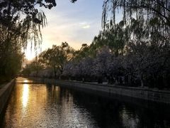 -元大都城垣遗址公园