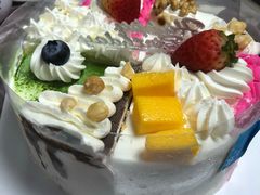 -维尔纳斯·生日蛋糕·动物奶油冰淇淋蛋糕(雨花店)