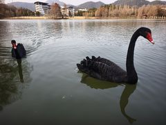 -浙江农林大学(东湖校区)