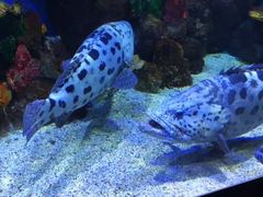 -石林冰雪海洋世界