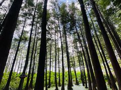-云龙湖旅游景区