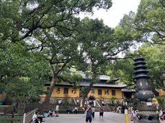 -普陀山风景名胜区-法雨禅寺