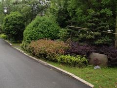 iphone_upload_pic-旺山景区