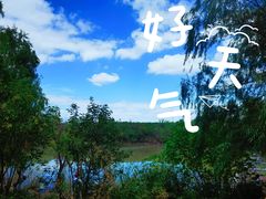 -上海吴淞炮台湾国家湿地公园