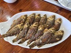 -独流饭店(静海区国土资源分局西)