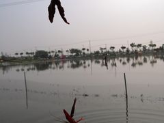-梁鸿国家湿地公园