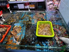 -桂园白粥·潮汕老味道