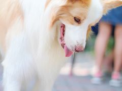 -豆舞咖啡(民乐路店)