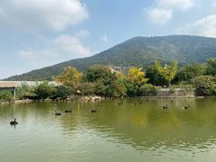 -无锡动物园·太湖欢乐园