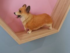 -汪说·狗咖(旺城大厦店)