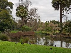 -墨尔本皇家植物园