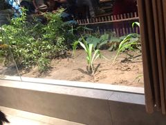 -黄山老妈·土菜(碧桂园店)