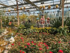 -南宫五洲植物乐园