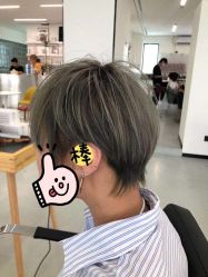 -T8 SALON