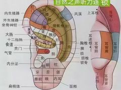 -自然之声助听器·呼吸机(公园路店)