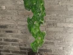 -瓷语堂(上海五维空间创意园店)