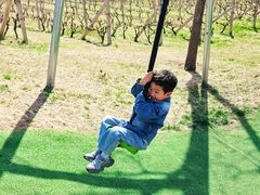 -圣露庄园·露营·烤肉·亲子