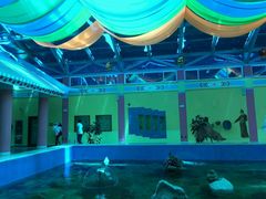 -北戴河圣蓝海洋公园