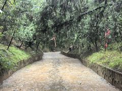 -函谷关历史文化旅游区