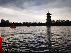 -洋湖国家湿地公园