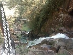 -九龙江国家森林公园