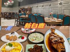 -新白鹿餐厅(城西银泰城店)