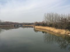 -大兴滨河森林公园