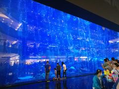 -成都浩海立方海洋公园