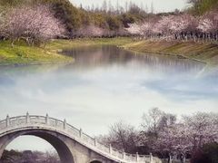 -上海海湾国家森林公园