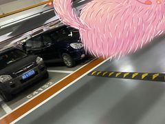 -浦东机场p4停车场
