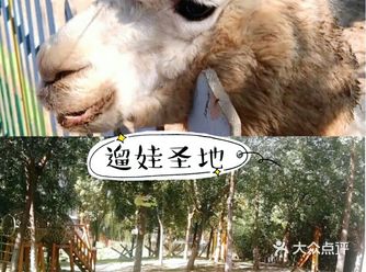 转眼又到了周末，家里的小朋友待不住想要出去玩