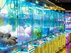 -秦皇岛阿尔卡迪亚滨海度假酒店