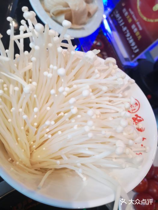 狼爱上羊音乐火锅图片