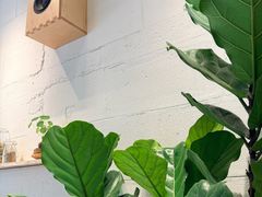 -喜茶(上海打浦桥日月光gelato lab+店)