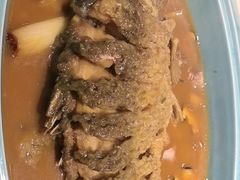 -阿五黄河大鲤鱼(英协路店)