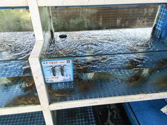 -宴悦海鲜餐厅·游水海鲜·牛排(亚龙湾瑞吉店)