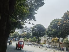 -老陈婆手工面庄