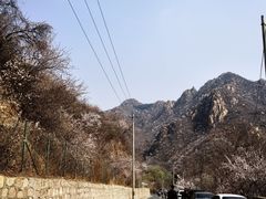 停车难步行3公里到入口-大岭沟猕猴桃谷风景区