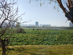 -汉长安城未央宫国家考古遗址公园