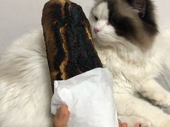 -面包与我Bread Or Me(长城汇店)