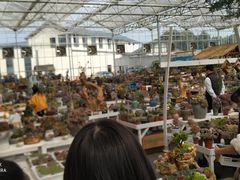 -三圣花乡旅游区