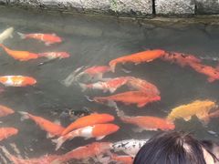 -前童古镇