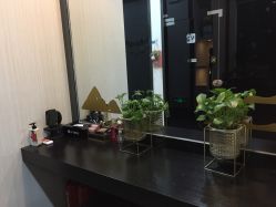 -DEM缔怡美科技美容