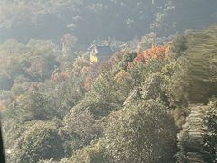 -灵顺寺
