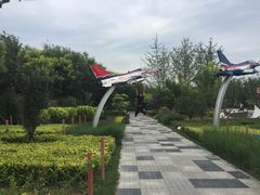 我要飞得更高-武清南湖绿博园