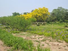 -绿堤公园